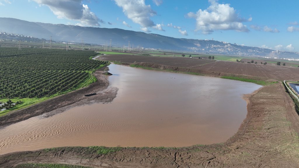 Read more about the article פרויקט 'מרלין'-שיקום אקולוגי של פשט הצפה ובית גידול לח